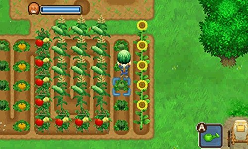 牧場物語 ふたごの村+』店舗特典・最安値情報！《3DS》移植版 店舗別